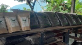 Foto kompos FABA PLN NP UP Pacitan. PLN Nusantara Power terus berinovasi dalam pengelolaan lingkungan melalui berbagai program eco-innovation di seluruh unit pembangkit, seperti pemanfaatan FABA untuk bahan bangunan, paving block, dan kini pupuk organo-mineral.  Hingga oktober 2025, tercatat sebanyak 3,5 ton kompos FABA telah berhasil dimanfaatkan kepada lahan seluas 6,5 hektar.