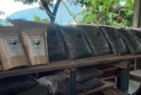 Foto kompos FABA PLN NP UP Pacitan. PLN Nusantara Power terus berinovasi dalam pengelolaan lingkungan melalui berbagai program eco-innovation di seluruh unit pembangkit, seperti pemanfaatan FABA untuk bahan bangunan, paving block, dan kini pupuk organo-mineral. Hingga oktober 2025, tercatat sebanyak 3,5 ton kompos FABA telah berhasil dimanfaatkan kepada lahan seluas 6,5 hektar.