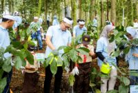 Melalui program ini PLN NP telah menyerap 760,38 ton CO2 karbon sejak awal program di tahun 2020.  PLN Nusantara Power melakukan restorasi di Hutan Organik Megamendung ini dengan menanam tanaman Vertiver yang berfungsi sebagai pagar hidup pencegah erosi tanah, serta Pohon Afrika yang menguatkan tanah sebagai penahan longsor.