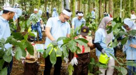 Melalui program ini PLN NP telah menyerap 760,38 ton CO2 karbon sejak awal program di tahun 2020.  PLN Nusantara Power melakukan restorasi di Hutan Organik Megamendung ini dengan menanam tanaman Vertiver yang berfungsi sebagai pagar hidup pencegah erosi tanah, serta Pohon Afrika yang menguatkan tanah sebagai penahan longsor.