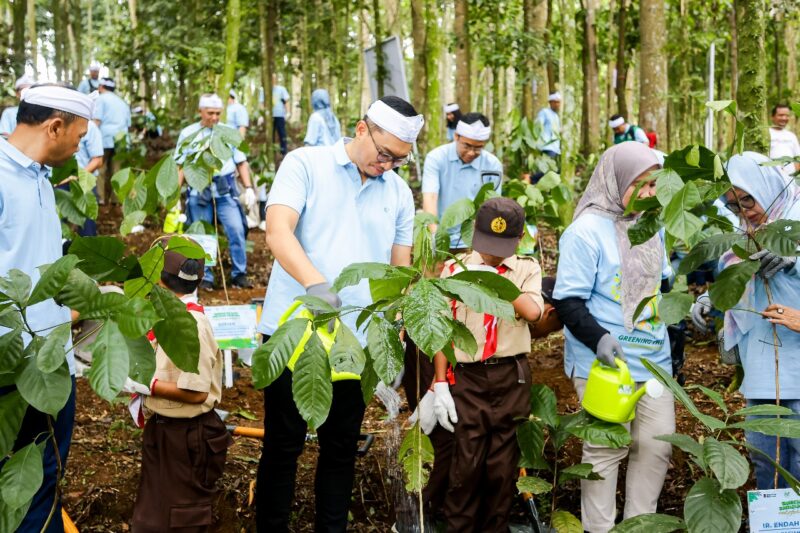 Melalui program ini PLN NP telah menyerap 760,38 ton CO2 karbon sejak awal program di tahun 2020.  PLN Nusantara Power melakukan restorasi di Hutan Organik Megamendung ini dengan menanam tanaman Vertiver yang berfungsi sebagai pagar hidup pencegah erosi tanah, serta Pohon Afrika yang menguatkan tanah sebagai penahan longsor.