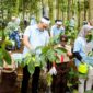 Melalui program ini PLN NP telah menyerap 760,38 ton CO2 karbon sejak awal program di tahun 2020.  PLN Nusantara Power melakukan restorasi di Hutan Organik Megamendung ini dengan menanam tanaman Vertiver yang berfungsi sebagai pagar hidup pencegah erosi tanah, serta Pohon Afrika yang menguatkan tanah sebagai penahan longsor.